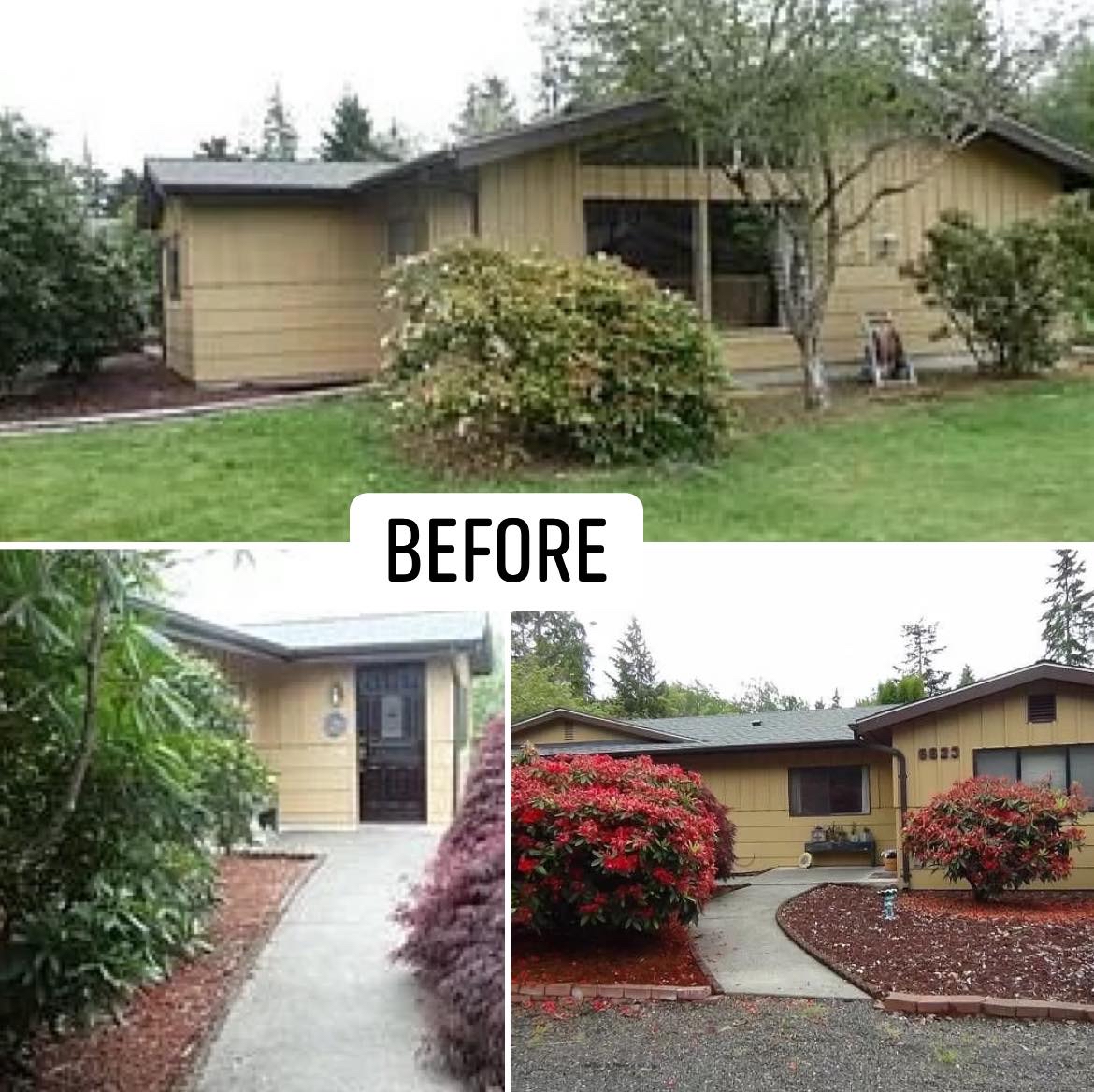 coffee and-coffee-beans